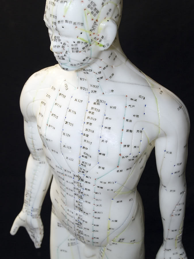 Acupuncture Meridians