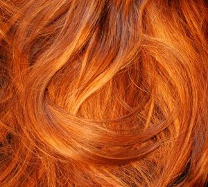 bigstock-Red-Hair-Texture-495669