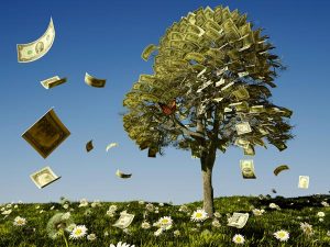 bigstock-Money-tree-on-grass-with-daisi-48321653