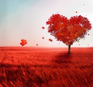 bigstock-Tree-of-love-51256813